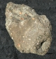 Shown here is an example of 

amygdaloidal basalt from The Midcontinent rift in Minnesota. The grey-brown basalt is 

riddled with vesicles, or holes, created when gas was trapped within the lava flow as 

it cooled. The cavities have since been filled by minerals to form zeolites or agates 

(light colored nodules in the image)